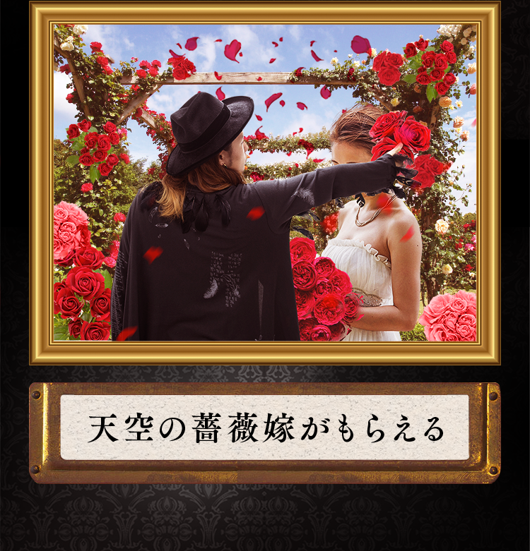 天空の薔薇嫁がもらえる